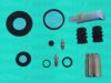 AUTOFREN SEINSA D41887C Repair Kit, brake caliper